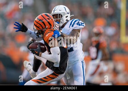 Cincinnati Bengals wide receiver Ventell Bryant (81) after an NFL football  preseason game between the Indianapolis