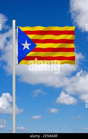 Fahne Spanien Katalonien 30 x 45 cm Flagge 