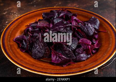 Raw Ruby or red chard salad Leafs on a rustic plate. Dark background. Top view Stock Photo