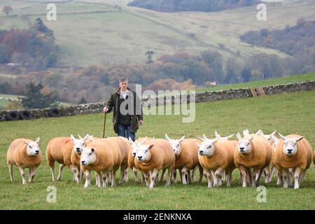 Scottish Farmer Stock Photo