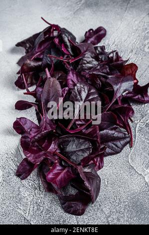 Leaves of Swiss red chard or Mangold salad. White background. Top view Stock Photo