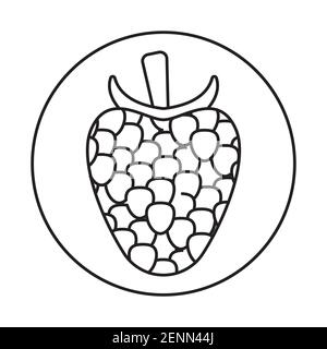 Rounded the raspberry fruit line art icon for apps and websites Stock Vector