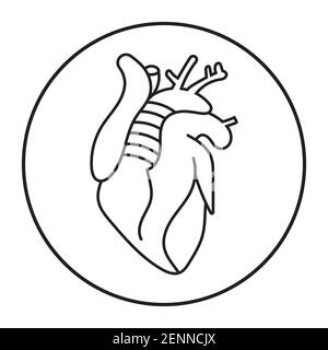 Rounded a human heart internal organs line art icon for apps or website Stock Vector