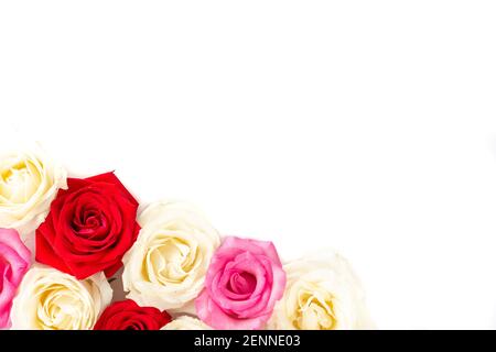 Group of red, white and pink roses over white background with room for text. Stock Photo