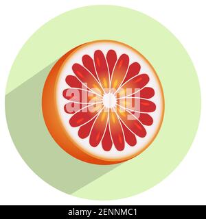 slice of pomelo or grapefruit on a round green background for apps and websites Stock Vector
