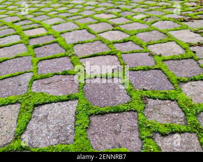 Traditional Italian brick ground view. High quality photo Stock Photo