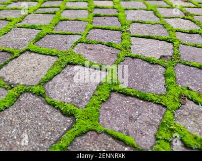 Traditional Italian brick ground view. High quality photo Stock Photo