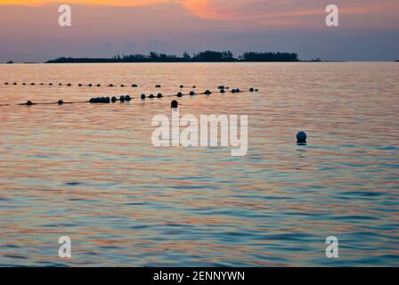 Buoys on the beach near Nassau, Banhamas Stock Photo