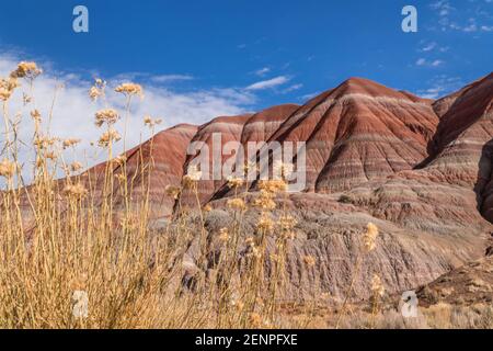 View of multi-colored/painted cliffs/mountains in Utah desert in southwestern United States Stock Photo