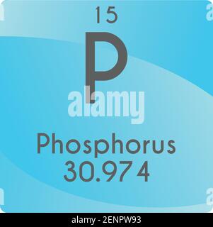 P Phosphorus Non reactive metal Chemical Element vector illustration diagram, with atomic number and mass. Simple gradient flat design For education, Stock Vector