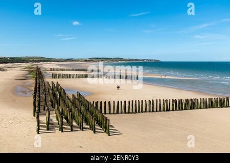 Mussel poles on the beach of Wissant on the Opal Coast in France Stock Photo