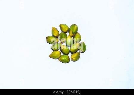 Areca Nut or Supari or Betel nuts small green palm with bunch of areca nuts on white background that is the latest entrant in the list of agricultural Stock Photo