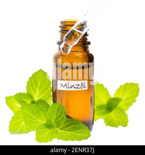 Mint oil with dropper isolated on white background Stock Photo
