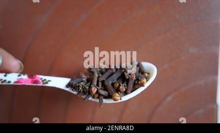 A person holding a cloves spoon on his hand. Indian dry clove spices on rustic background Stock Photo
