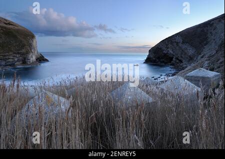 Dragon's Teeth (coastal defences from World War 2) on the beach at Worbarrow Bay, Dorset, UK. Stock Photo