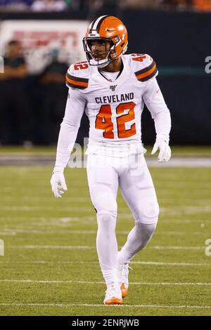 September 16, 2019, Cleveland Browns fan reacts with a Pumpkin head on  during the NFL game between the Cleveland Browns and the New York Jets at  MetLife Stadium in East Rutherford, New