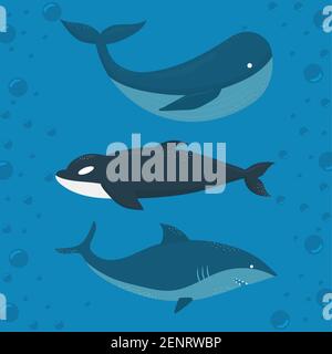 blue whale, killer whale and shark on a water background Stock Vector
