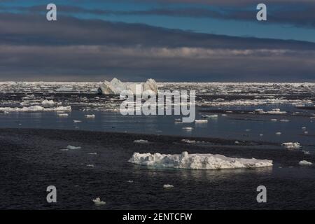 Ice floes in the Erik Eriksenstretet, strait separating Kong Karls Land from Nordaustlandet. Stock Photo