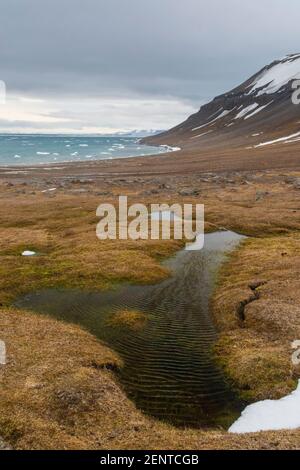 Edgeoya island, Svalbard islands. Stock Photo