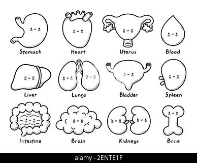 Cute healthy human organs character coloring page outline. Vector line cartoon kawaii character illustration icon. Bone,stomach,heart,uterus,blood,liver,lungs,bladder,splee,intestine,kidneys Stock Vector