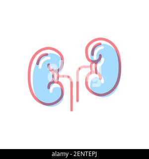Kidneys icon in modern colors on white Stock Vector