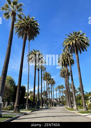 Beverly Hills, CA USA - January 20, 2021: Street view of neighborhoods in Beverly Hills with Palm trees and cars in California Stock Photo