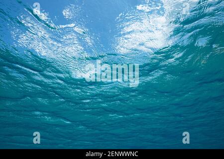 Ocean water surface seen from underwater, natural scene, Atlantic Stock Photo