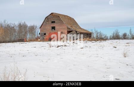 Old abandoned barn on the Canadian Prairies near Delburne, Alberta Stock Photo