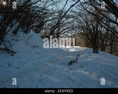 people hiking a snowy trail passing under  a tunnel in the trees . The sun's rays  filter trough the branches Stock Photo