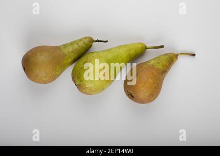 Three whole green pears isolated on white background Stock Photo