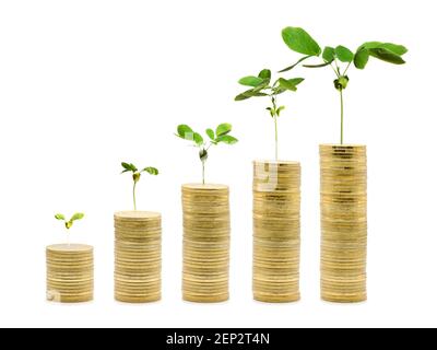 Money Trees are growing on the tower gold coin stack, increasing from small to high. Money Saving financial growth concept on isolated white backgroun Stock Photo