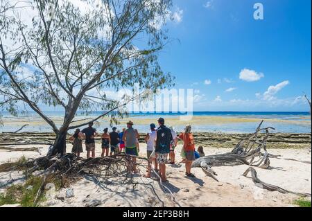 Tourists on a day trip to Lady Musgrave Island walking on the beach, Southern Great Barrier Reef, Queensland, QLD, Australia Stock Photo