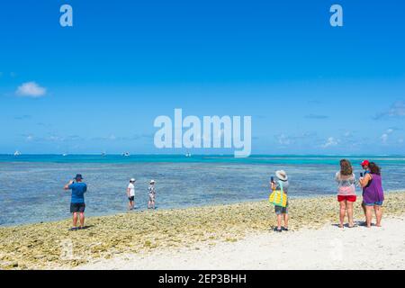 Tourists on a day trip taking pictures from the beach of Lady Musgrave Island, Southern Great Barrier Reef, Queensland, QLD, Australia Stock Photo