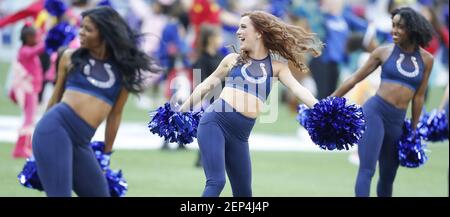 The Denver Broncos cheerleaders perform in their Christmas Holiday uniforms  at the end of the first quarter at Invesco Field at Mile High in Denver on  December 20, 2009. UPI/Gary C. Caskey