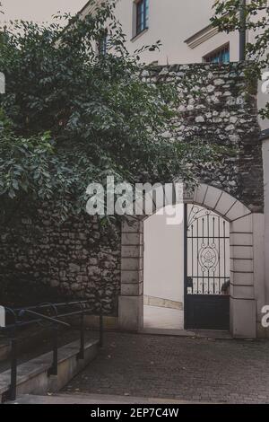 Iron arched gate in an old stone wall with ivy Stock Photo