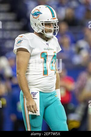 November 10, 2019: Miami Dolphins head coach Brian Flores during NFL  football game action between the Miami Dolphins and the Indianapolis Colts  at Lucas Oil Stadium in Indianapolis, Indiana. Miami defeated Indianapolis