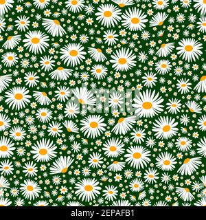 Field chamomiles seamless floral background. Vector daisy meadow spring, summer flowers texture. Trendy ditsy floral wallpaper for print, fashion, tex Stock Vector