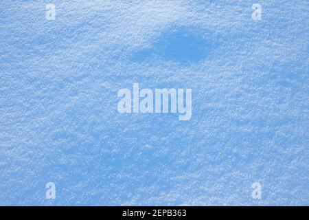 Ground covered with fresh white snow Stock Photo