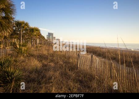 The Myrtle Beach Coast. Palmetto trees and sea oats along the boardwalk of Myrtle Beach, South Carolina on the Atlantic coast.