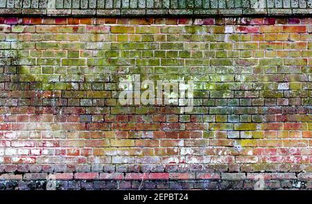 Abstract of an old weathered brick wall covered in green lichen Stock Photo