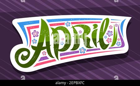 Vector banner for April, white badge with curly calligraphic font, decorative stripes and illustration of colorful flowers, art symbol with swirly han Stock Vector