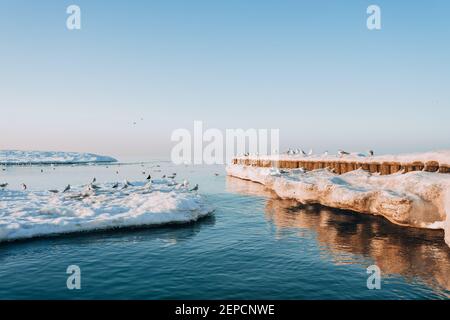 Winter coastal landscape with floating ice. Baltic sea in evening light Stock Photo