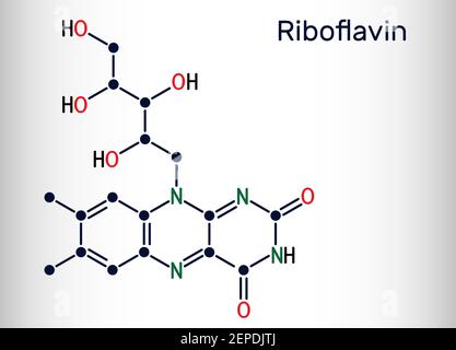 Riboflavin, vitamin B2 molecule.  It is water-soluble flavin, is found in food, used as a dietary supplement E101.  Skeletal chemical formula. Vector Stock Vector