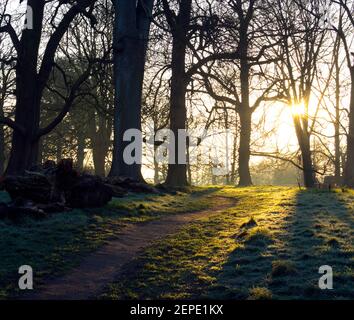 Priory Park, early morning in winter, Warwick, Warwickshire, England, UK Stock Photo