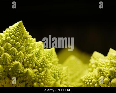 Romanesco Cauliflower Broccoli, Fresh Edible Green Flower Bud, Brassica Oleracea, Exotic Vegetable Ingredient for Vegan Cooking Stock Photo