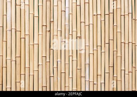 old brown bamboo texture background. tropical backdrop for design Stock Photo