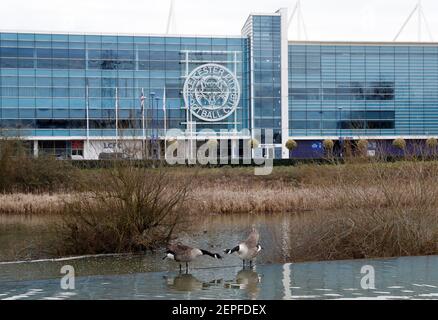 Leicester, Leicestershire, UK. 22nd February 2021. Geese squabble on the River Soar by the King Power Stadium, the home of Leicester City. Credit Darr Stock Photo