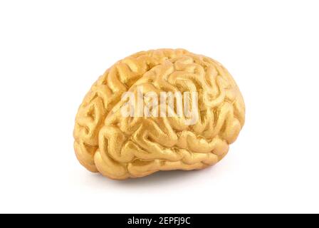 Human golden brain model on white background with clipping path Stock Photo