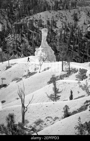 BRYCE CANYON, UT - May 26, 2012. Bryce Canyon monochrome landscape, man hiking on a trail in Bryce Canyon National Park, USA Stock Photo