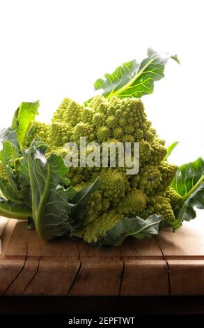 Fresh romanesco broccoli or cauliflower isolated on white background. Closeup. Stock Photo
